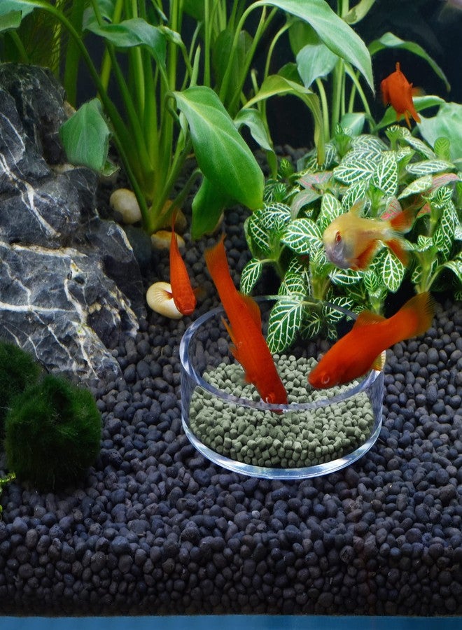 Dannisly Aquarium Shrimp Feeder Dish Round Clear Fish Tank Feeding Dish Bowls (85mm) - Image 2